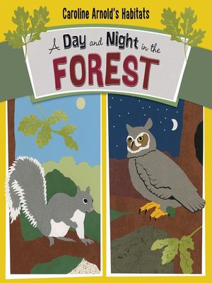 cover image of A Day and Night in the Forest
